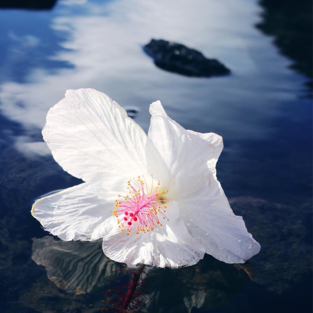 Meet your Posher, Sindy